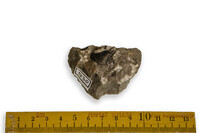 F 01430
          <br/>
          
          <br/>
          <em></em>